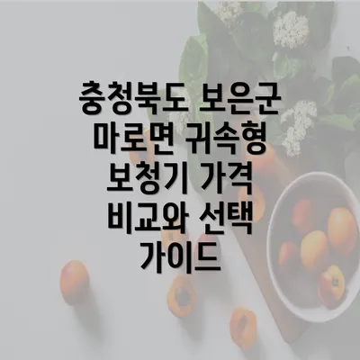 충청북도 보은군 마로면 귀속형 보청기 가격 비교와 선택 가이드