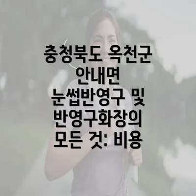 충청북도 옥천군 안내면 눈썹반영구 및 반영구화장의 모든 것: 비용