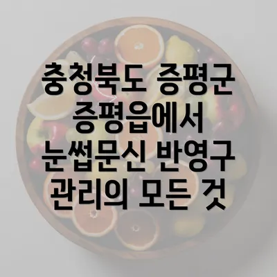 충청북도 증평군 증평읍에서 눈썹문신 반영구 관리의 모든 것