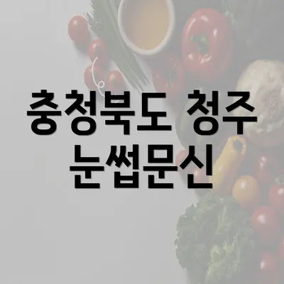 충청북도 청주 눈썹문신