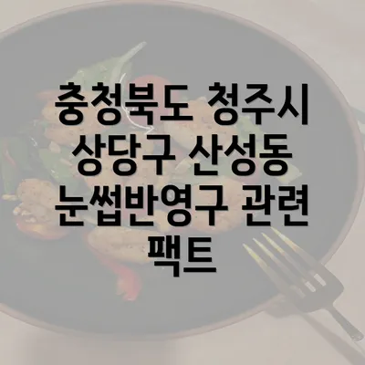 충청북도 청주시 상당구 산성동 눈썹반영구 관련 팩트