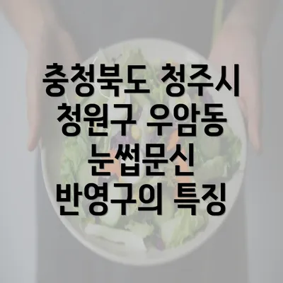 충청북도 청주시 청원구 우암동 눈썹문신 반영구