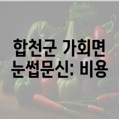 합천군 가회면 눈썹문신: 비용