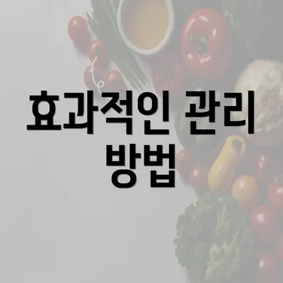 효과적인 관리 방법