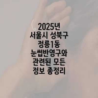 2025년 서울시 성북구 정릉1동 눈썹반영구와 관련된 모든 정보 총정리