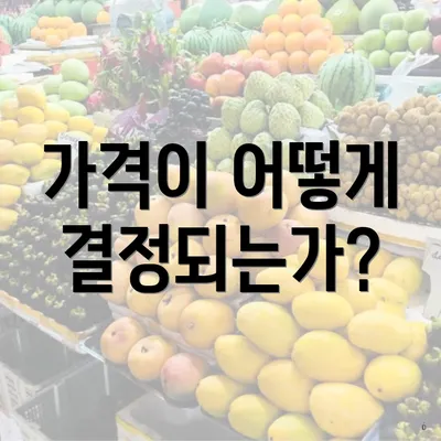 가격이 어떻게 결정되는가?