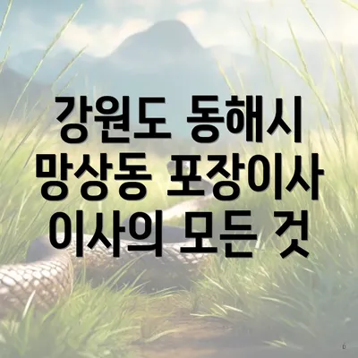 강원도 동해시 망상동 포장이사 이사의 모든 것