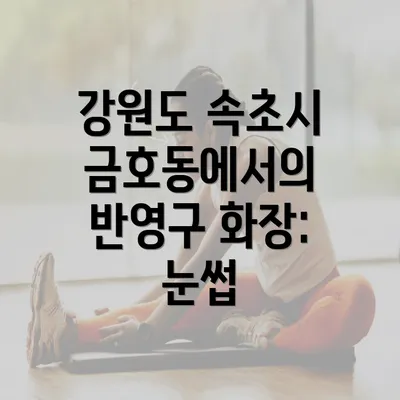 강원도 속초시 금호동에서의 반영구 화장: 눈썹