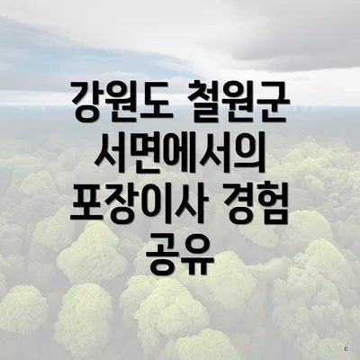 강원도 철원군 서면에서의 포장이사 경험 공유