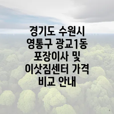 경기도 수원시 영통구 광교1동 포장이사 및 이삿짐센터 가격 비교 안내