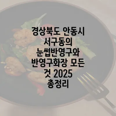 경상북도 안동시 서구동의 눈썹반영구와 반영구화장 모든 것 2025 총정리