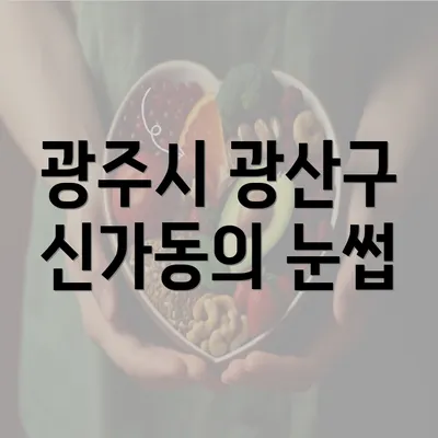 광주시 광산구 신가동의 눈썹