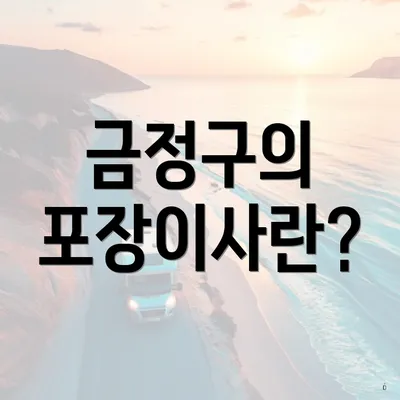 금정구의 포장이사란?