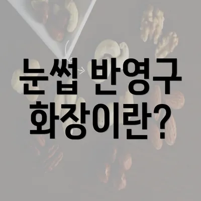 눈썹 반영구 화장이란?