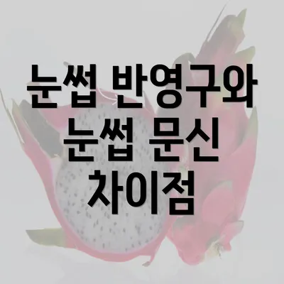 눈썹 반영구와 눈썹 문신 차이점