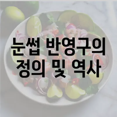 눈썹 반영구의 정의 및 역사