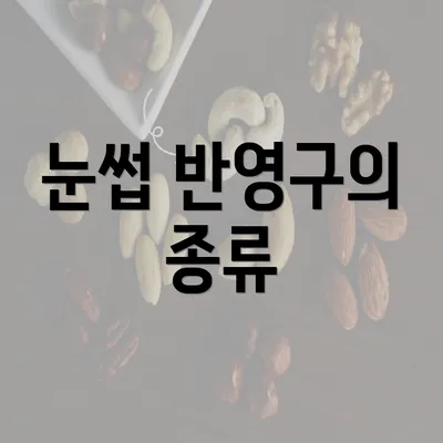 눈썹 반영구의 종류