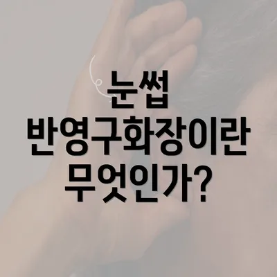 눈썹 반영구화장이란 무엇인가?