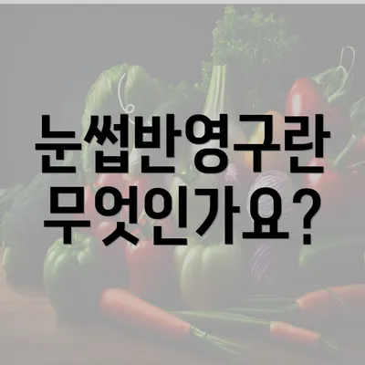 눈썹반영구란 무엇인가요?