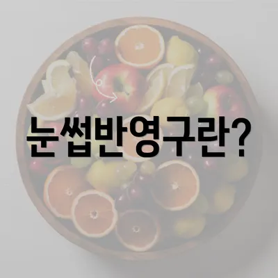 눈썹반영구란?