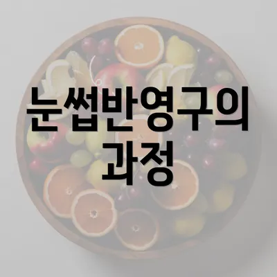 눈썹반영구의 과정