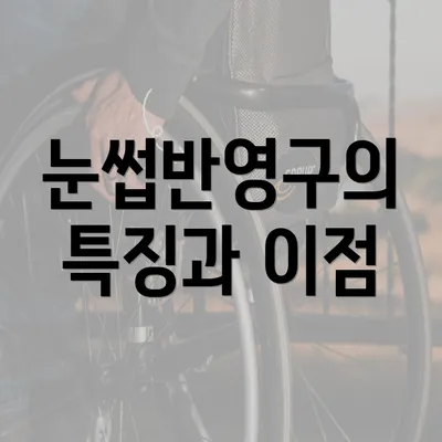 눈썹반영구의 특징과 이점