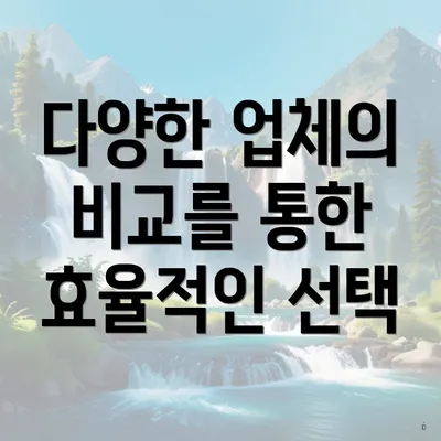 다양한 업체의 비교를 통한 효율적인 선택