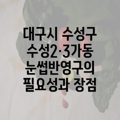 대구시 수성구 수성2·3가동 눈썹반영구의 필요성과 장점