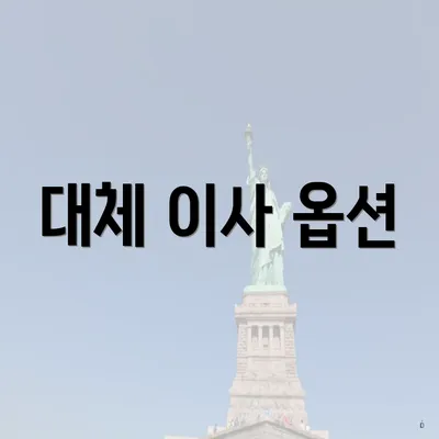 대체 이사 옵션