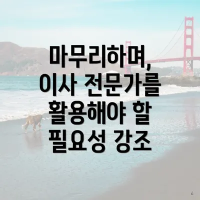 마무리하며, 이사 전문가를 활용해야 할 필요성 강조