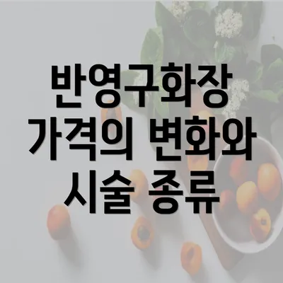 반영구화장 가격의 변화와 시술 종류