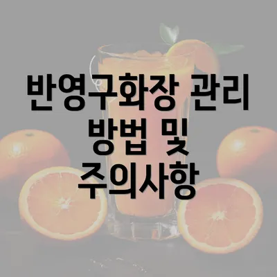 반영구화장 관리 방법 및 주의사항