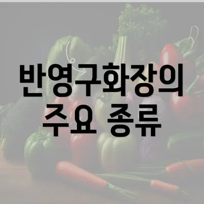 반영구화장의 주요 종류