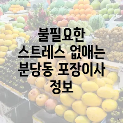 불필요한 스트레스 없애는 분당동 포장이사 정보