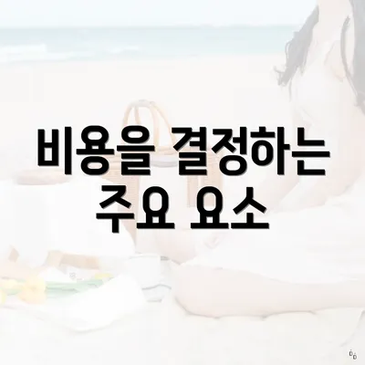 비용을 결정하는 주요 요소