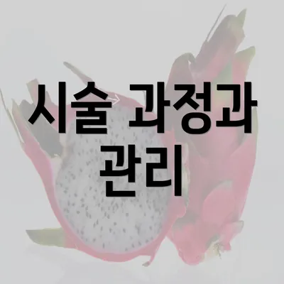 시술 과정과 관리