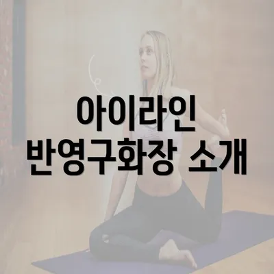 아이라인 반영구화장 소개