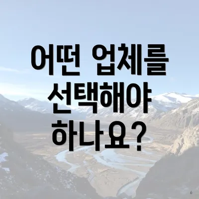 어떤 업체를 선택해야 하나요?