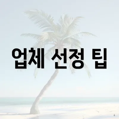 업체 선정 팁