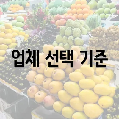 업체 선택 기준