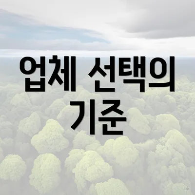 업체 선택의 기준