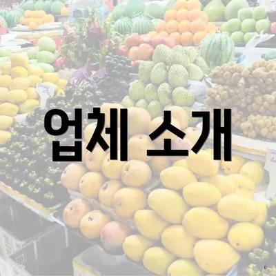 업체 소개