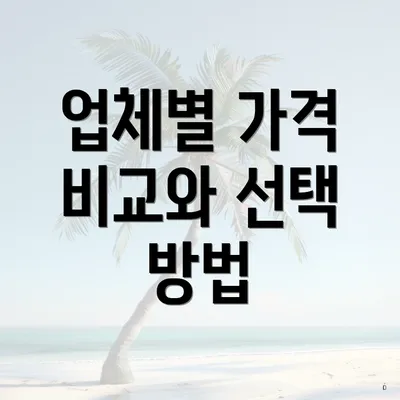 업체별 가격 비교와 선택 방법