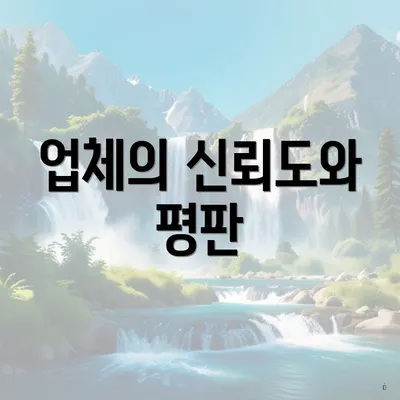 업체의 신뢰도와 평판