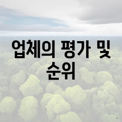 업체의 평가 및 순위