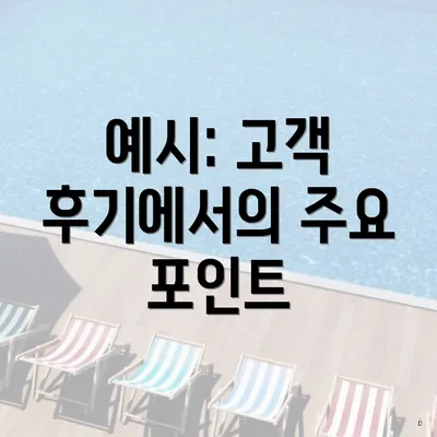 예시: 고객 후기에서의 주요 포인트