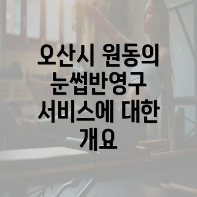 오산시 원동의 눈썹반영구 서비스에 대한 개요