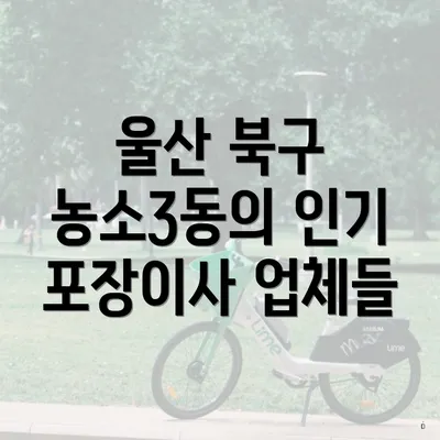 울산 북구 농소3동의 인기 포장이사 업체들