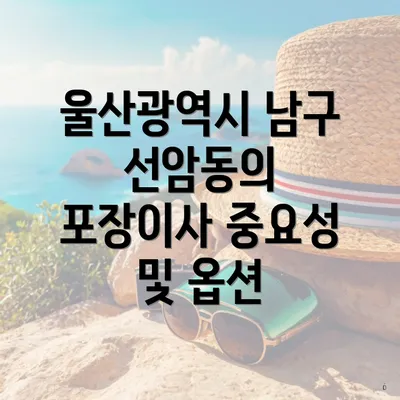 울산광역시 남구 선암동의 포장이사 중요성 및 옵션