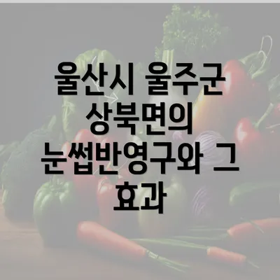 울산시 울주군 상북면의 눈썹반영구와 그 효과